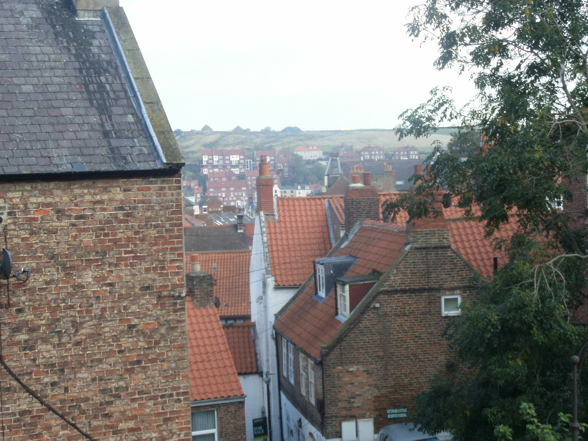 Broomfield House Whitby Exteriör bild
